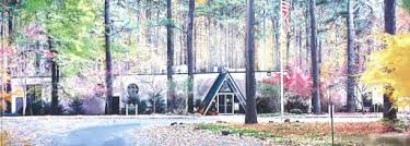 Image result for Oldbury S & Tc