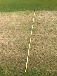 Image result for Pitch marking blog