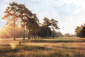 Image result for Newark Golf Club Co Ltd