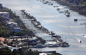 Image result for Calow J.N.C