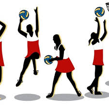 Image result for pulborough netball club