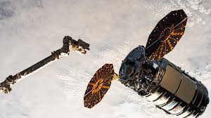 Attēlu rezultāti vaicājumam “Cygnus”