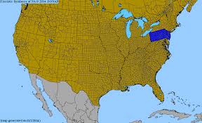 Attēlu rezultāti vaicājumam “Melilotus wolgicus”