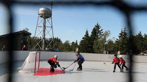 Image result for Urban Knights Inline Roller Hockey