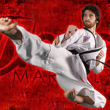 Image result for Vision Martial Arts