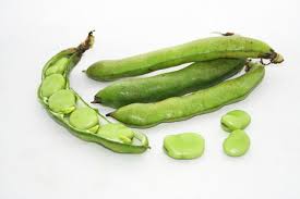 Image result for Dicke Bohnen