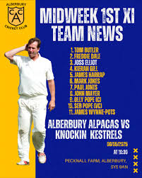Image result for Alberbury Cricket Club