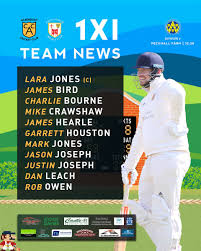 Image result for Alberbury Cricket Club