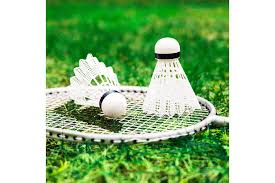 Image result for Shap Badminton Club