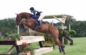 Image result for Chobham and District Riding Club