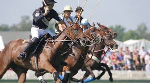 Image result for Cirencester Park Polo Club