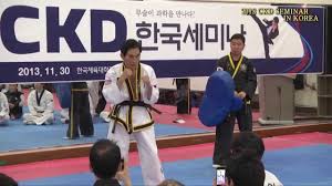 Image result for Cardiff Choi Kwang-Do