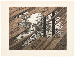 Image result for escher