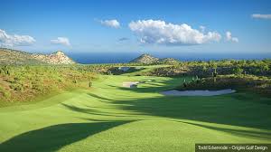 Image result for Dolphina Gc