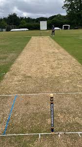 Image result for Yelverton Bohemians Cricket Club