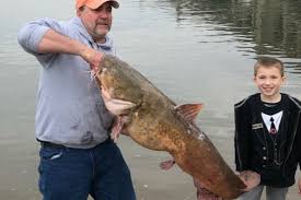 Image result for The Lancaster Fish