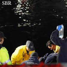 Image result for Breakwater Divers