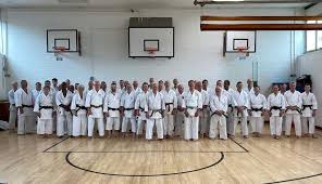 Image result for Haslemere Karate Club