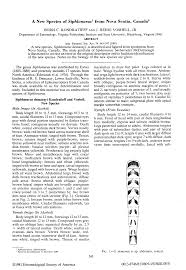 Attēlu rezultāti vaicājumam “Siphlonurus male”