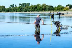 Image result for Runnymede Angling Association