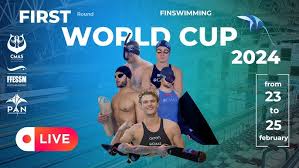 Image result for Swansea Finswimming Club