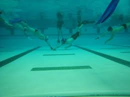 Image result for Caversham Underwater Hockey Club