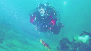 Image result for Splash Divers Sub Sub Aqua Club