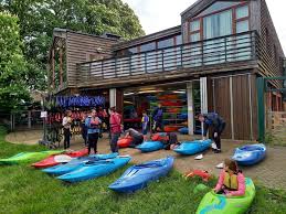 Image result for Adventure Dolphin