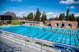 Image result for City of Preston Aquatics