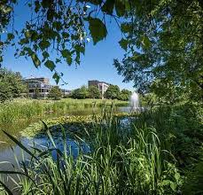 Image result for Bath University