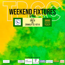 Image result for Three Bridges Cricket Club