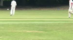 Image result for Mayfield Cricket Club