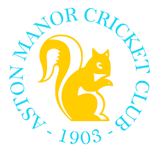 Image result for Aston Ingham Cricket Club