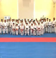 Image result for Bristol Taekwondo School