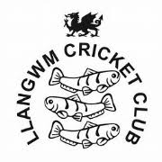 Image result for Narberth Cricket Club