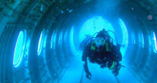 Image result for Torbay Sub-Aqua Club