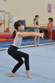Image result for Phoenix Gymnastics