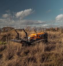 Image result for roboflail tehron