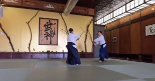 Image result for Moslin & Dewandre Aiki Dojo