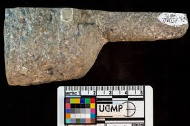 Attēlu rezultāti vaicājumam “Endoceras”