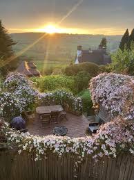 Attēlu rezultāti vaicājumam “Clematis”