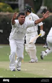 Image result for Wanstead Cricket Club