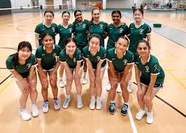 Image result for Link Ladies Badminton Club