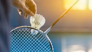 Image result for Camelford Badminton Club