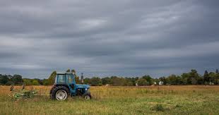 Attēlu rezultāti vaicājumam “altostratus”