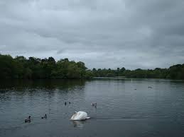 Image result for Redesmere Sailing Club