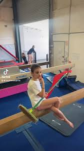 Image result for Fish trampoline and gymnastics club
