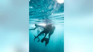 Image result for Duchy Divers