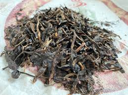 Image result for 2009早春