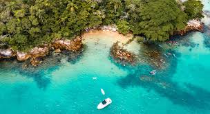 Image result for bombinhas